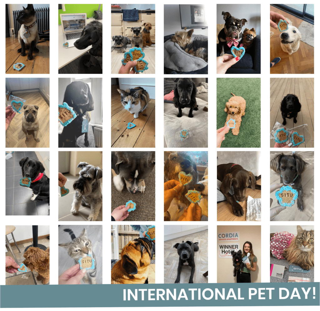 International Pet Day! Situ’s Pet Friendly Suppliers