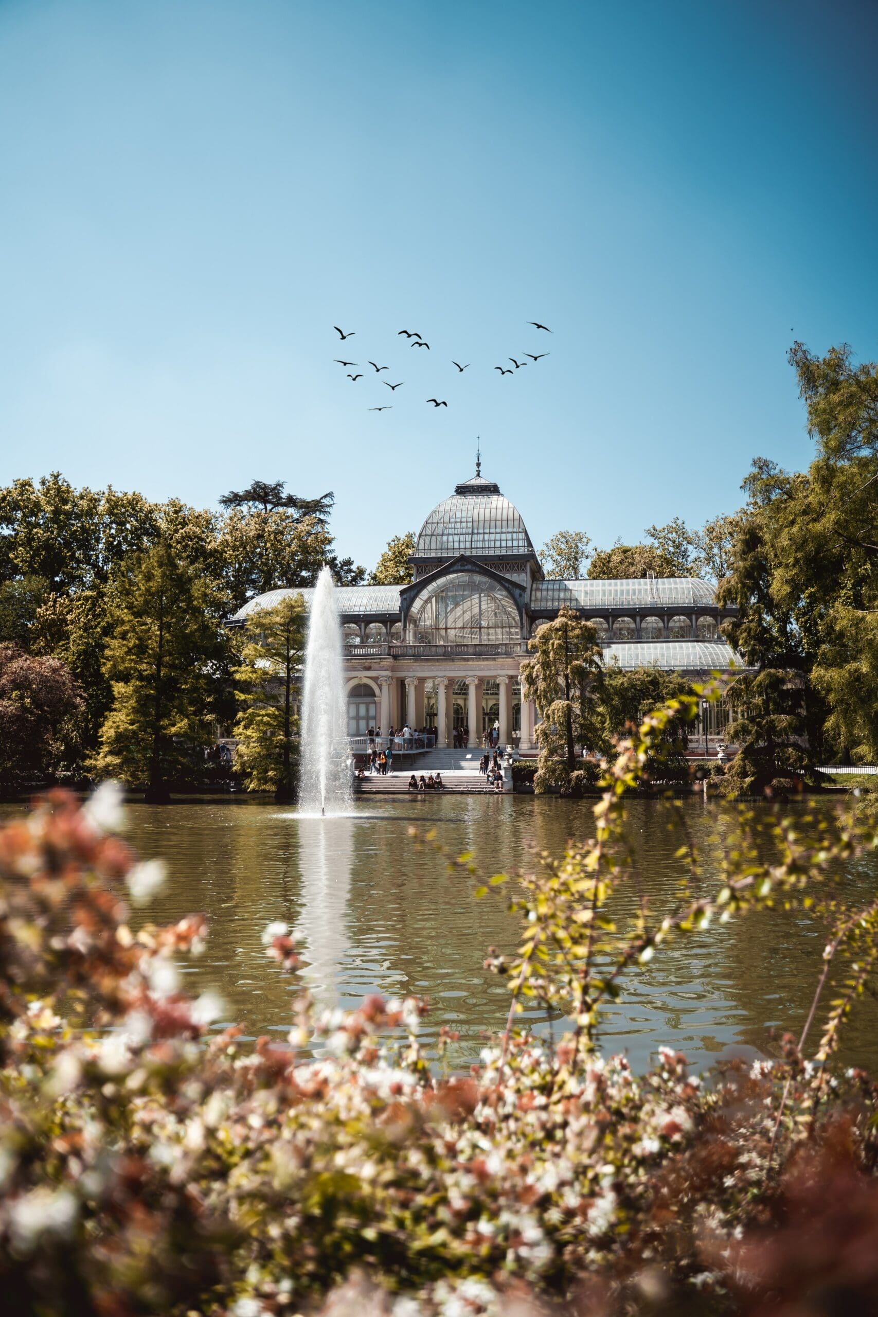 Retiro Park in Madrid - What to see and do - Citylife Madrid