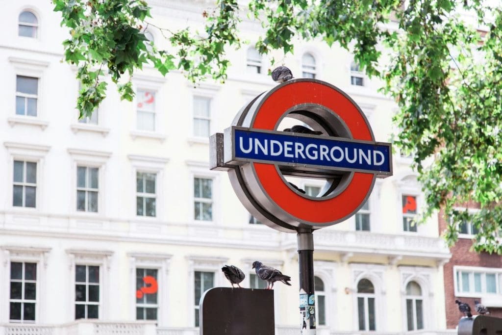 London underground sign with a pigeons around it