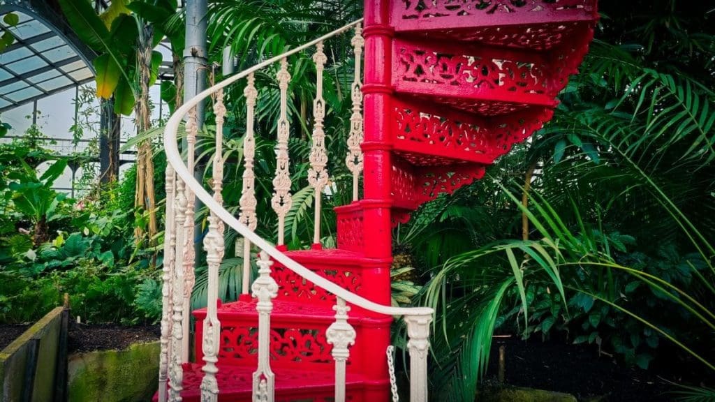 Spiral staircase surrounded by plants in Glasgow Botanic Gardens