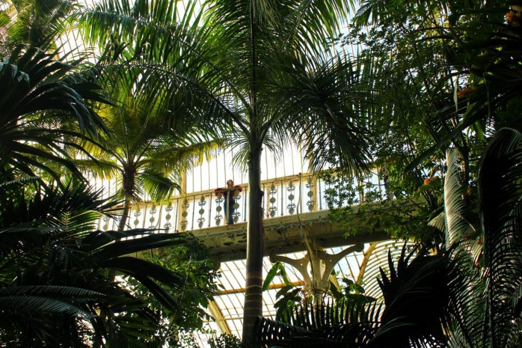 A person standing on a ledge looking at plants in Kew Gardens in Ealing